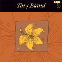 Tiny Island - Tiny Island