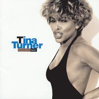 Tina Turner - Simply The Best -  Vinyl Record