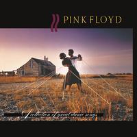 Pink Floyd - A Collection Of Great Dance Songs -  180 Gram Vinyl Record