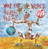 Public Image Ltd. - What The World Needs Now -  Vinyl Record