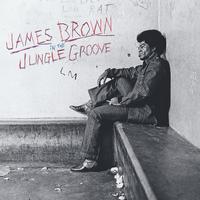 James Brown - In The Jungle Groove -  Vinyl Record