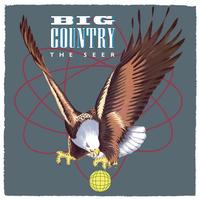 Big Country - Seer -  180 Gram Vinyl Record
