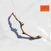 PJ Harvey - I Inside the Old Year Dying -  Vinyl Record
