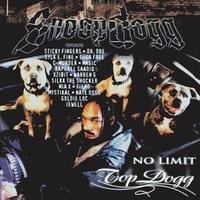 Snoop Doggy Dogg - No Limit Top Dogg -  Vinyl Record
