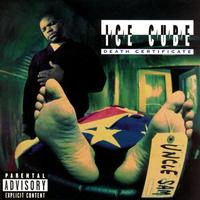 Ice Cube - Death Certificate -  Vinyl Record