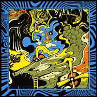 King Gizzard & The Lizard Wizard - Live At Forest Hills Stadium '24 -  Vinyl Box Sets