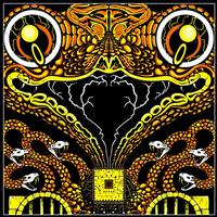 King Gizzard & The Lizard Wizard - Acoustic Gizzard Vol. II - Live In San Diego '24