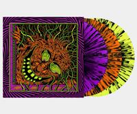 King Gizzard & The Lizard Wizard - Live In Miami '24