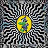 King Gizzard & The Lizard Wizard - Field of Vision '25