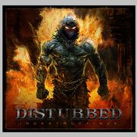 Disturbed - Indestructible -  Vinyl Record