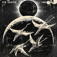 The Ducks (Neil Young) - High Flyin'