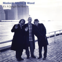 Medeski, Martin & Wood - It's A Jungle In Here -  Vinyl Record