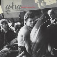 A-Ha - Hunting High And Low -  Vinyl Record