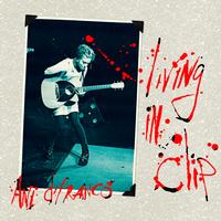 Ani Difranco - Living In Clip -  Vinyl Record