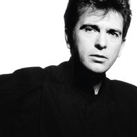 Peter Gabriel - So -  180 Gram Vinyl Record