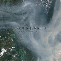 Damien Jurado - Caught In the Trees -  Vinyl Record