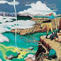 The Marshall Tucker Band - A New Life -  180 Gram Vinyl Record