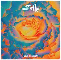 311 - Full Bloom -  Vinyl Record