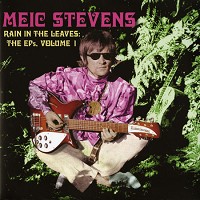 Meic Stevens - Rain in the Leaves -  180 Gram Vinyl Record