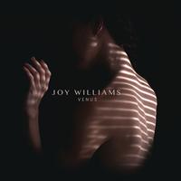 Joy Williams - VENUS -  180 Gram Vinyl Record