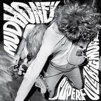 Mudhoney - Superfuzz Bigmuff -  Vinyl Record