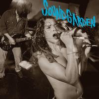 Soundgarden - Screaming Life/ Fopp