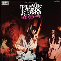 The Pleasure Seekers - What A Way To Die -  Vinyl Record