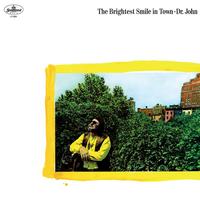 Dr. John - The Brightest Smile In Town -  Vinyl Record