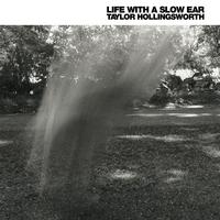Taylor Hollingsworth - Life With a Slow Ear