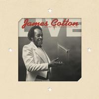 James Cotton - Live At Antone's