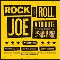Chip Taylor - Rock & Roll Joe -  Vinyl Record