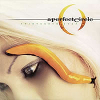 A Perfect Circle - Thirteenth Step -  Vinyl Record