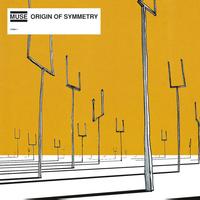 Muse - Origin of Symmetry -  Vinyl Record
