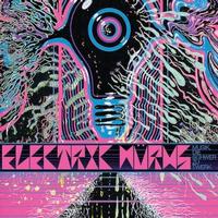 Electric Wurms - Musik, Die Schwer zu Twerk -  Vinyl Record