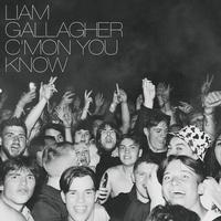 Liam Gallagher - C'mon You Know -  Vinyl Record