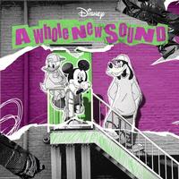 Various Artists - A Whole New Sound