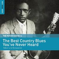 Various Artists - Rough Guide To The Best Country Blues You've Never Heard