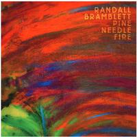 Randall Bramblett - Pine Needle Fire