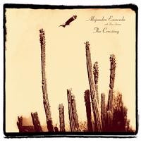 Alejandro Escovedo - The Crossing