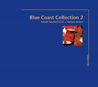 Various Artists - Blue Coast Collection 2