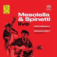 Fausto Mesolella/Ferruccio Spinetti - Mesolella & Spinetti Live