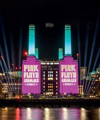 Pink Floyd - Animals -  Blu-ray Audio