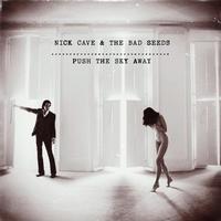 Nick Cave and the Bad Seeds - Push the Sky Away -  Vinyl LP with Damaged Cover