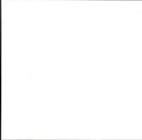 Jean Martinon - Borodin: Symphony No. 2/ Rimsky-Korsakov: Capriccio Espagnole -  Vinyl Test Pressing