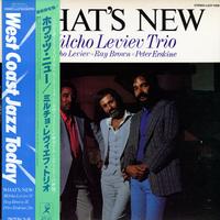 Milcho Leviev Trio - What's New