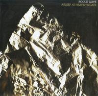 Rogue Wave - Asleep At Heaven's Gate -  Preowned Vinyl Record