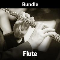 Various - Various Pieces for Flute Grab Bag