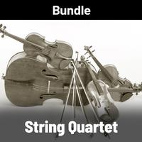 Various - String Quartets Grab Bag