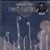 Kikagaku Moyo - Forest of Lost Children
