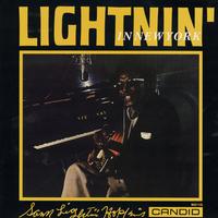 Lightnin' Hopkins - Lightnin' In New York -  Preowned Vinyl Record